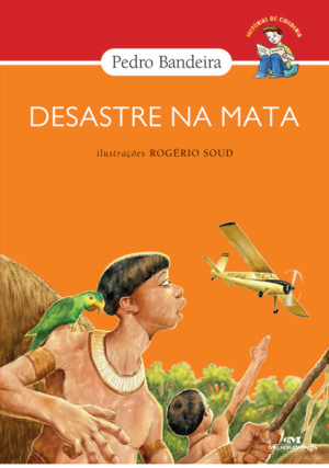 Desastre na Mata